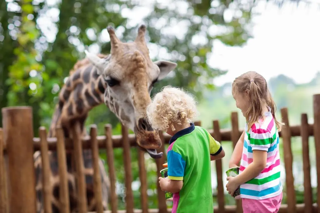 dzieci w zoo