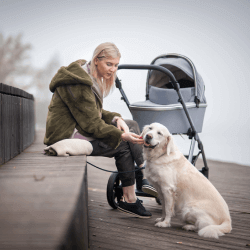 Wózek Baby Design Bueno