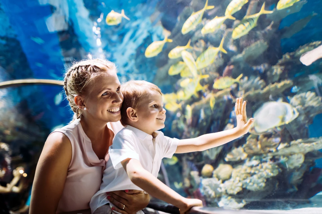 Kołobrzeg atrakcje dla dzieci oceanarium