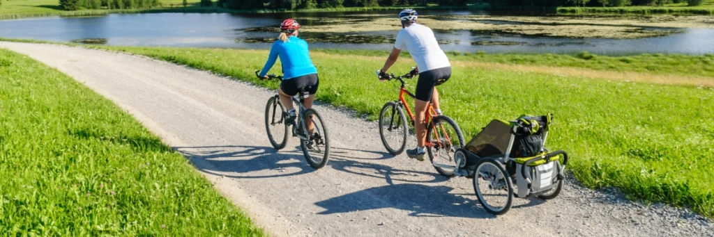wozek dzieciecy do roweru glowne