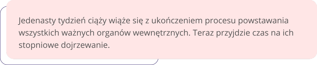 11 tydzień ciąży