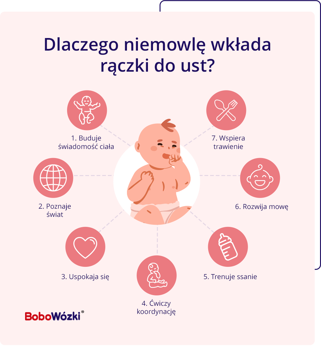 dlaczego niemowlę wkłada rączki do ust infografika
