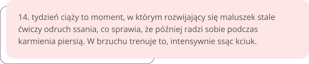 14 tydzień ciąży grafika