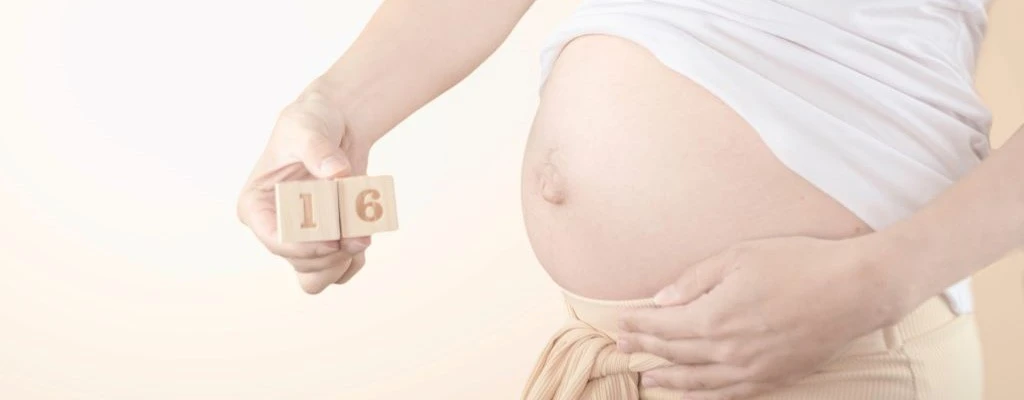 16 tydzień ciąży - ciężarna kobieta pokazuje brzuch