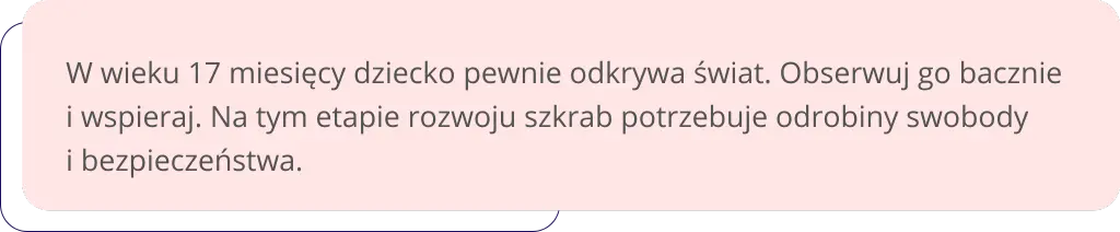 co potrafi 17 miesięczne dziecko - ramka