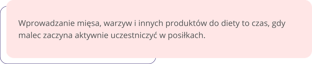 Wprowadzanie mięsa, warzyw i innych produktów do diety to czas, gdy malec zaczyna aktywnie uczestniczyć w posiłkach.