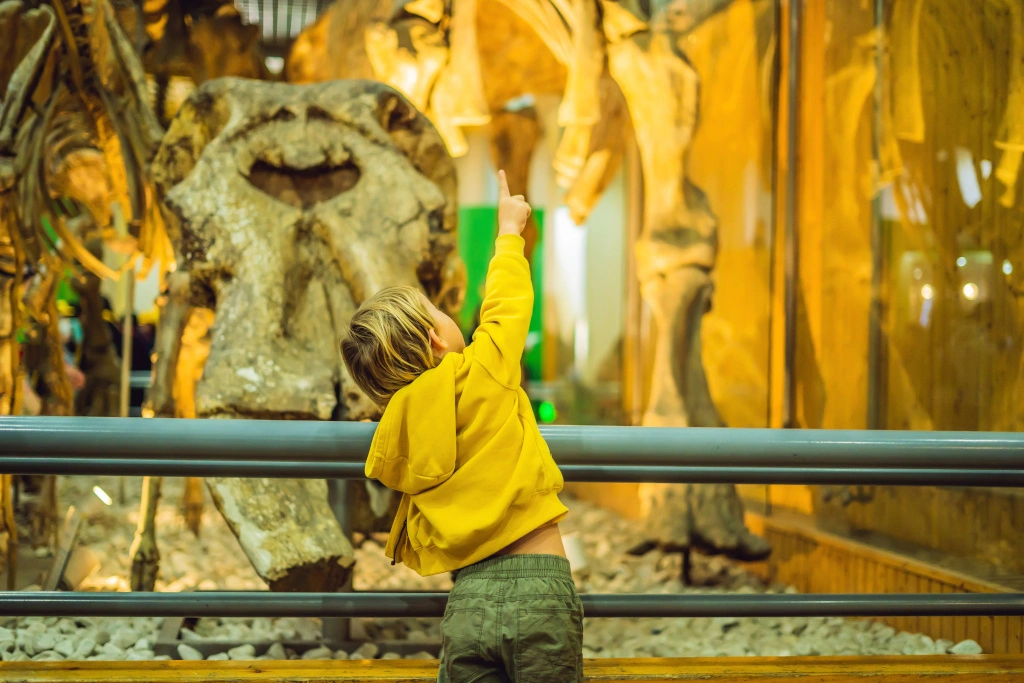 Chłopiec ogląda eksponat w Muzeum Archeologicznym