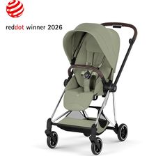 Sage Green (Chrome Frame)