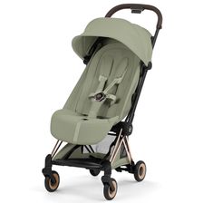 Sage Green (Rosegold Frame)