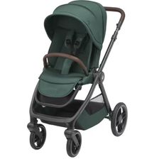 Essential Green