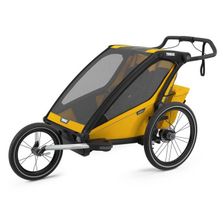 Spectra Yellow