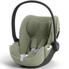 Sage Green Plus