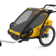 Spectra Yellow