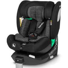 Black Carbon