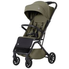 14 indyvidual olive