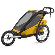 Spectra Yellow