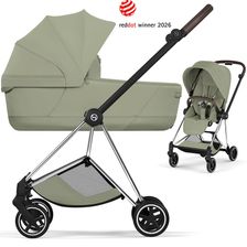 Sage Green (Chrome Frame)